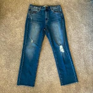 Articles of Society Dark Wash Jeans